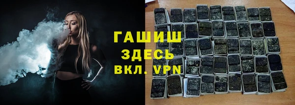 стаф Алзамай