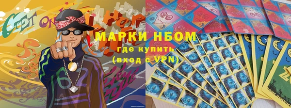 стаф Алзамай