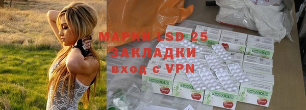 стаф Алзамай