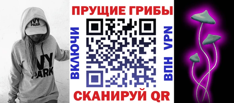 Галлюциногенные грибы MAGIC MUSHROOMS  KRAKEN маркетплейс  Северодвинск  наркотики 