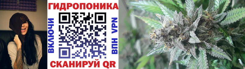 Канабис семена  цена   Северодвинск 